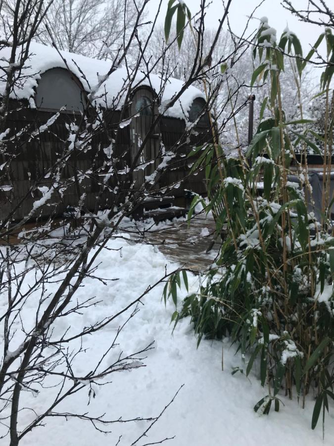 Cabane En Bois Avec Bain Nordique Et Sauna Marigny  Eksteriør bilde